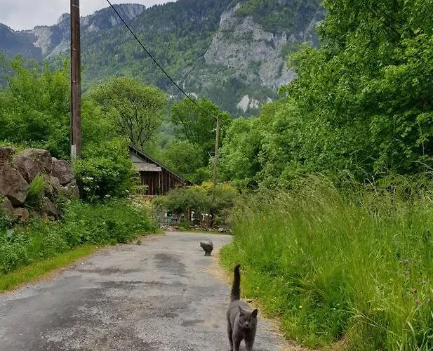 Le Du Biot Appartamento Le Biot